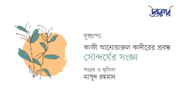 কাজী আনোয়ারুল কাদীরের প্রবন্ধ : সৌন্দর্যের সংজ্ঞা